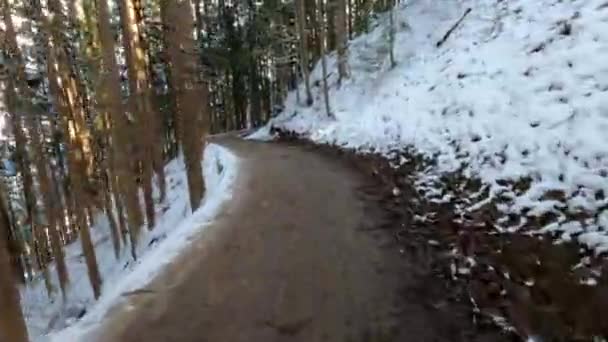 冬には雪道を歩く登山家 長野県地獄谷の雪に覆われた美しい山の自然景観で冬景色 Japan Dan — ストック動画