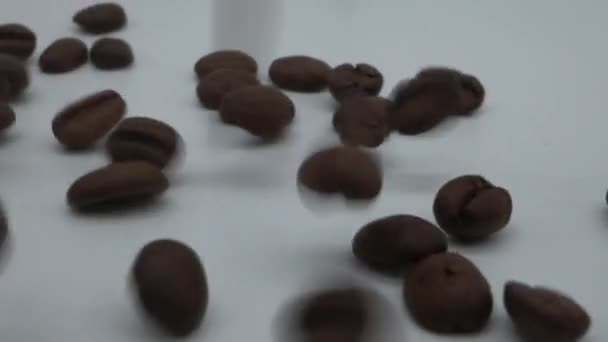 Slow Motion Roasted Coffee Beans Falling White Background — Stock Video