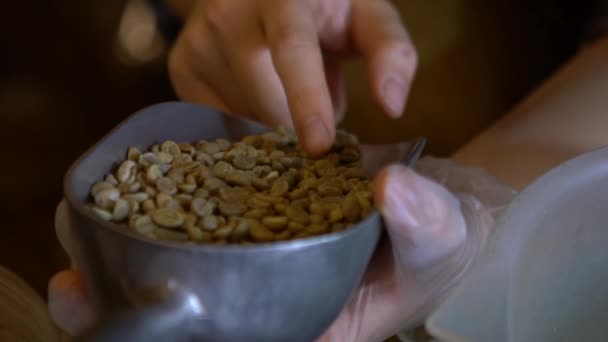 Slowmotion Färska Kaffebönor Rostfri Trumma Process Rostningsanläggningen Nyrostad Caféböna Till — Stockvideo