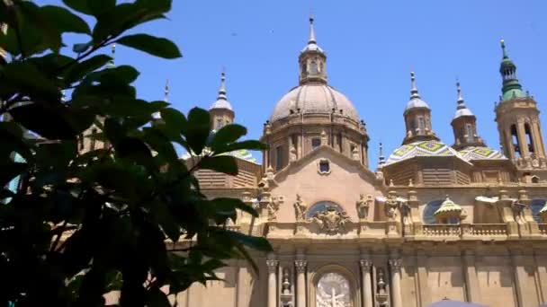 Vue Sur Paysage Urbain Sur Les Toits Les Flèches Basilique — Video