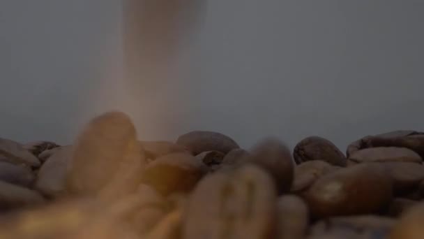 Slow Motion Roasted Coffee Beans Falling White Background — Stock Video