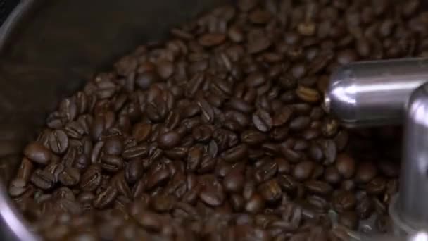 Grains Café Frais Sur Processus Tambour Inoxydable Usine Torréfaction Grain — Video