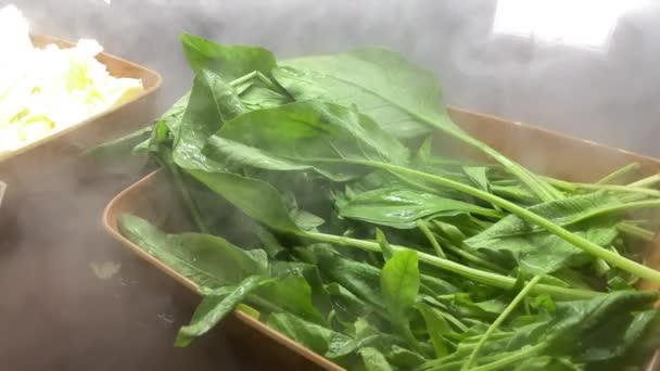 Pyszne Zielone Warzywa Gotowe Serwowania Kapusta Chińska Boczek Choy Zbiorów — Wideo stockowe