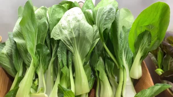 Deliciosas Verduras Verdes Listas Para Servir Col China Bok Choy — Vídeo de stock