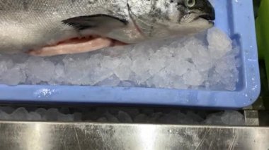 Süpermarket vitrininde çiğ somona yakın çekim. Pişmemiş taze deniz ürünleri. Markette buzdaki balıklar. Yemek pişirmek için sağlıklı malzemeler, diyet konsepti.