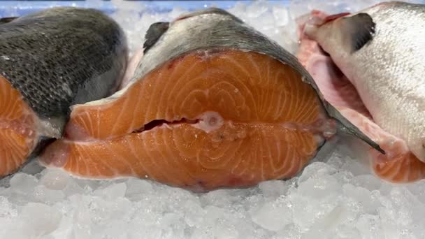 スーパーマーケットの冷蔵ディスプレイケースで新鮮なフィレのサーモンを閉じます 調理されていない新鮮なシーフード 市場の店で氷の上の新鮮な赤魚 魚介類のコンセプト — ストック動画