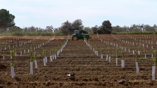 Jordbrukare Traktor Förbereder Mark Med Såbäddskultivator Landskap Med Växter Som — Stockvideo