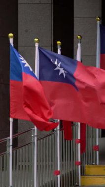 Taipei, Tayvan-15 Ekim 2024: Yeşil yapraklı kentsel alanda Tayvan bayrağının dikey yavaş hareketi, doğanın ve modernliğin birliğini sembolize ediyor.