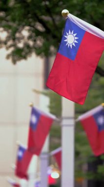 Tayvan bayrağının dikey yavaş hareketi arka planda ağaçlarla yavaşça dalgalanıyor. Tayvan 'daki ulusal gurur ve doğal ortamı yakalıyor..