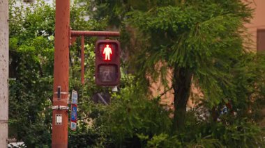 Kırmızı ışıkta yemyeşil dönen yaya trafik sinyallerinin yavaş çekim görüntüsü gür ağaçların yanında hareketlilik ve güvenlik konuları için ideal kentsel atmosfer.