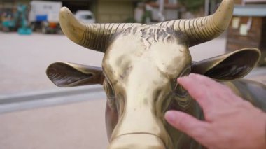 Japonya 'nın Fukuoka kentindeki Kushida Tapınağı' nda altın inek heykelini ovuşturan bir adamın yavaş görüntüsü, sağlık ve refah için yerel bir inancı takip ediyor.