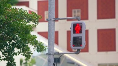 Hareket kabiliyeti ve güvenlik kavramları için ideal, kırmızı-yeşil, temiz organize akış değişen metalik cephede yayanın yavaş çekim görüntüsü