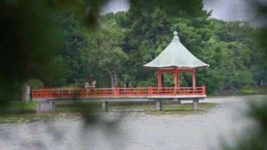 Fukuoka, Japonya-03 Ekim 2025: Japonya 'nın Fukuoka kentindeki Ohori Parkı' nın sakin gölünün yanında yeşil ağaçlarla çevrili kırmızı geleneksel bir pavyonu gösteren yavaş çekim manzarası barışçıl bir ahenk ve güzelliği çağrıştırıyor.