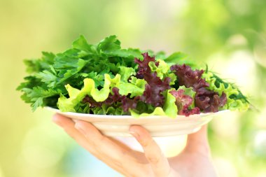 plaka salata ve maydanoz ve dereotu elinde
