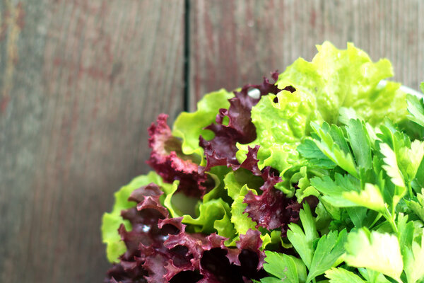 Assorted fresh herbs on a plate