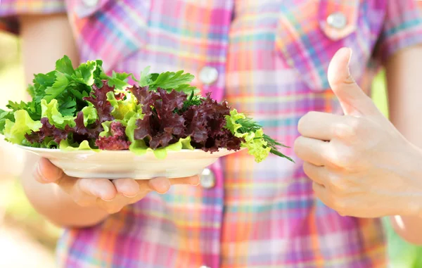 Plato con ensalada y perejil y eneldo en las manos —  Fotos de Stock