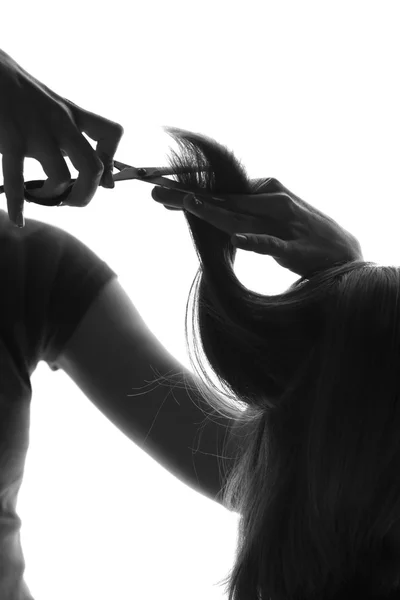 Silhouette Friseur schneidet eine Kundin — Stockfoto