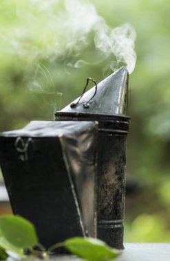 beyaz duman dışında bir jet ile arı sigara içen