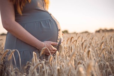 Buğday tarlasında genç hamile bir kadının karnına dokunmak. Müstakbel anne doğada yürüyor. Rahatlatıcı, sağlıklı hamilelik kavramı.