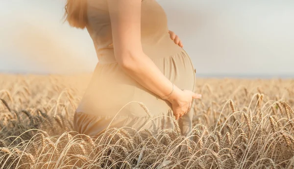 Рука Трогает Живот Молодой Беременной Женщины Пшеничном Поле Будущая Мама — стоковое фото