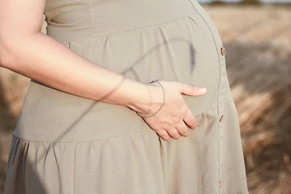 年轻孕妇的肚子在日落时走在农田里 麦穗的阴影笼罩在圆圆的肚子上 象征着丰收 新生命的诞生 — 图库照片