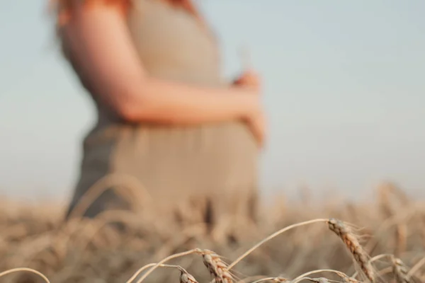 Задний План Молодой Беременной Женщины Размытом Виде Ходить Пшеничному Полю — стоковое фото