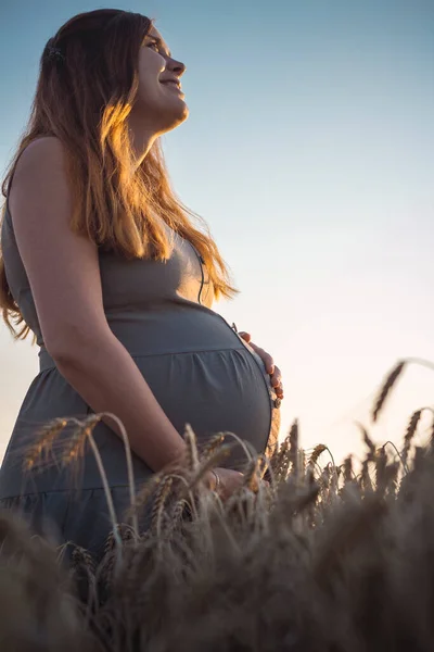 아름다운 임신부가 석양에 밭에서 머리를 임산부가 자연스럽게 손으로 쓰다듬고 — 스톡 사진