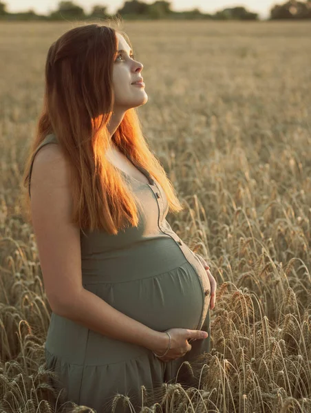 Belle Jeune Femme Enceinte Marche Dans Champ Blé Mûr Coucher — Photo