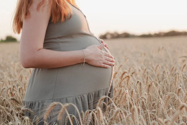 Рука Трогает Живот Молодой Беременной Женщины Пшеничном Поле Будущая Мама — стоковое фото