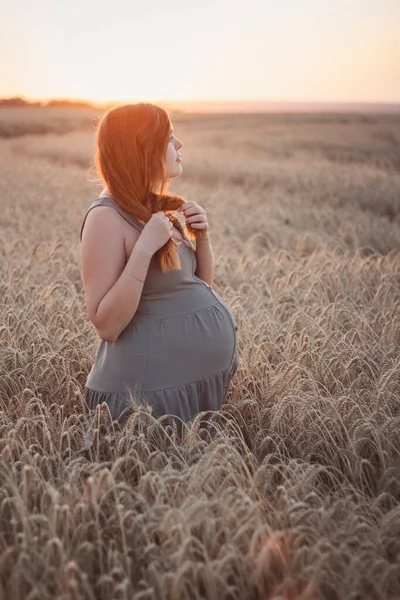 Enceinte Jeune Femme Rousse Robe Debout Dans Domaine Des Oreilles — Photo