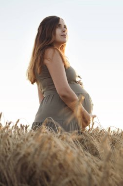 Olgun buğday filizi, hamile bir kadının karnı üzerine eğilmiş gün batımında doğada yürüyor, yeni bir hayat kavramının doğuşu.