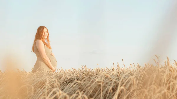 Bella Giovane Donna Incinta Cammina Sul Campo Grano Tramonto Madre — Foto Stock