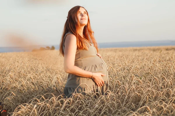 美丽的年轻孕妇在日落时走在麦田上 红头发的孕妇在大自然中放松地用手抚摩她的肚子 快乐的怀孕观念 — 图库照片