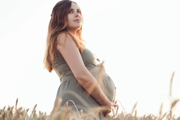 成熟的麦穗斜靠在孕妇腹部的背景下 在日落时分漫步于大自然 一个新生命概念的诞生 — 图库照片