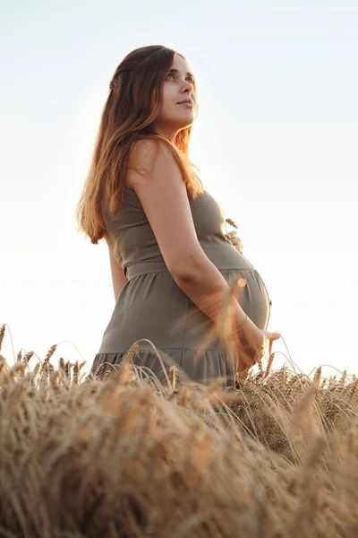 成熟的麦穗斜靠在孕妇腹部的背景下 在日落时分漫步于大自然 一个新生命概念的诞生 — 图库照片