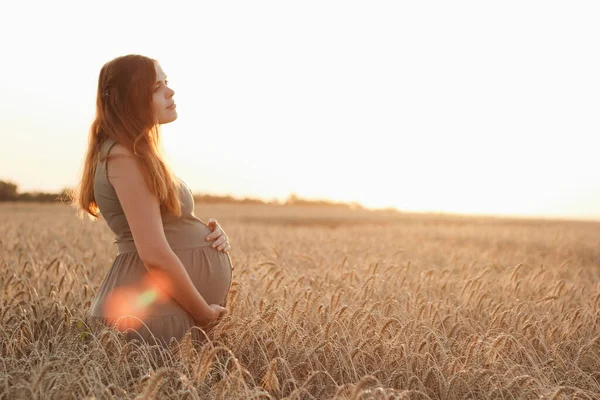 Belle Jeune Femme Enceinte Marche Sur Champ Blé Coucher Soleil — Photo