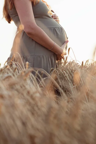 Hand Touching Belly Young Pregnant Woman Wheat Field Future Mother Royalty Free Stock Images