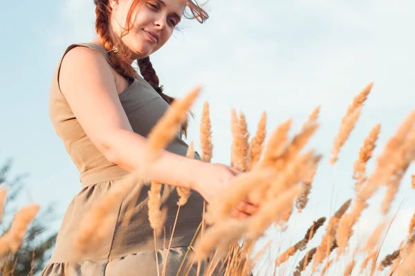 Jeune Belle Femme Enceinte Promène Dans Champ Parmi Herbe Pelucheuse — Photo