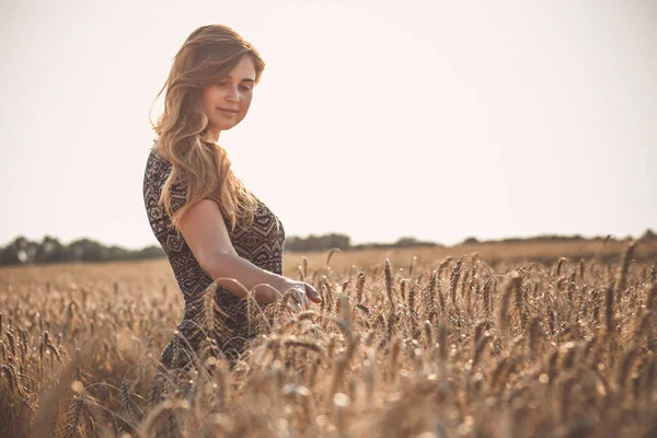 Романтична Красива Молода Жінка Довгим Волоссям Йде Пшеничному Полі Стиглими — стокове фото
