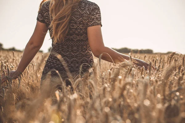 Romantik Uzun Saçlı Genç Bir Kadın Buğday Tarlasında Yürüyor Olgunlaşmış — Stok fotoğraf