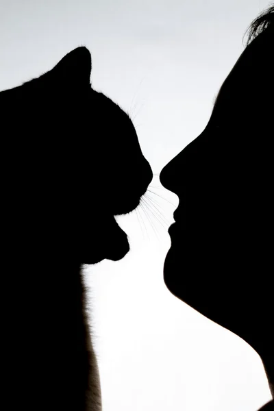Силуэт девушки с кошачьим носом к носу — стоковое фото
