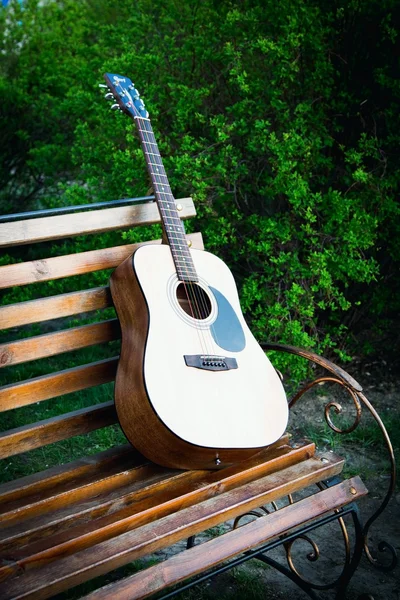 Schöne Foto-Gitarre auf einer Bank in der Natur — Stockfoto