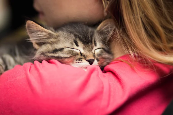 Portrait of a cute kitten sleeping on her shoulder — Stock Photo, Image