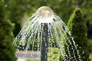 squirting a fountain in the park clipart