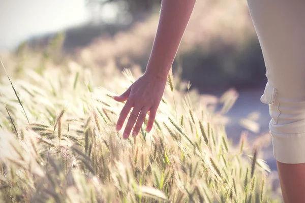 Девушка ведет руку над ушами в поле — стоковое фото