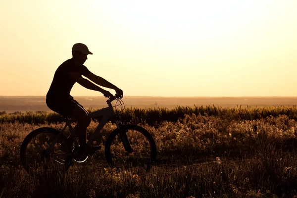 Silhueta de um homem andando de bicicleta no campo — Fotografia de Stock