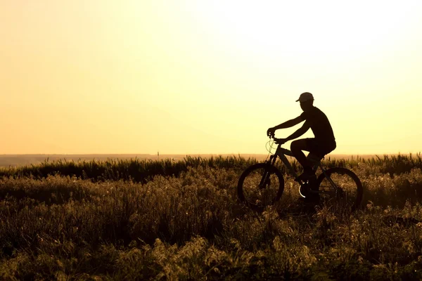 Junge auf dem Fahrrad im Feld — Stockfoto