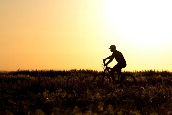 Silhueta de um homem andando de bicicleta no campo — Fotografia de Stock