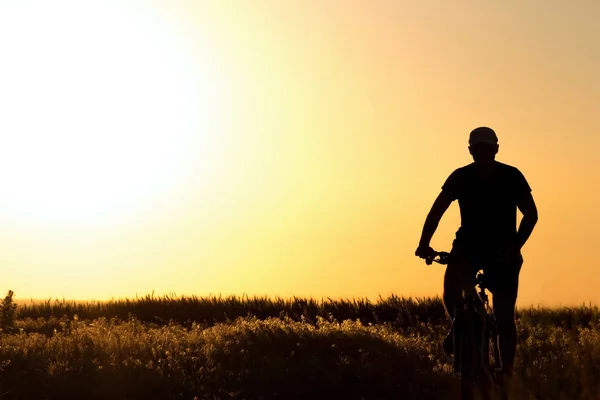 Silhueta de um homem andando de bicicleta no campo — Fotografia de Stock