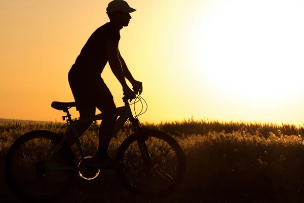 Silhueta de um homem andando de bicicleta no campo — Fotografia de Stock